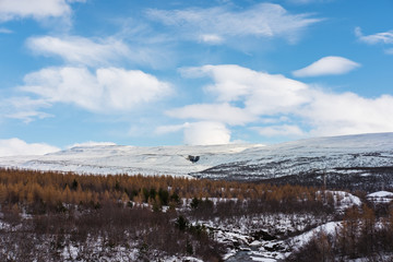 winter landscaped, with forest and mountain in winter