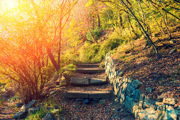 Botanical garden in Tbilisi city at sunset, Georgia