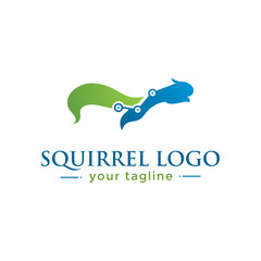 SQUIRREL LOGO.  animal logo with finance concept