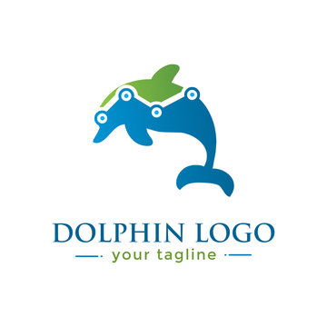 DOLPHIN LOGO.  animal logo with finance concept