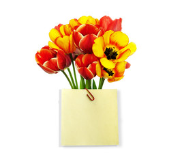 A beautiful bouquet of fresh garden tulips with a congratulatory note with space for your text