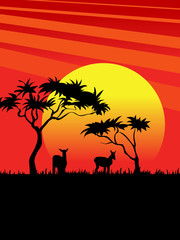 Fototapeta na wymiar African Sunset
