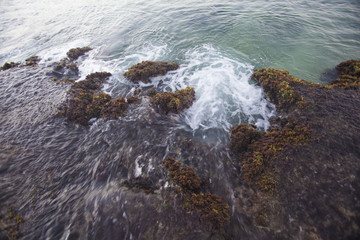 Fototapeta premium Caribbean reef