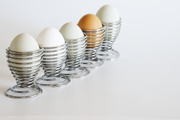 Five free range organic eggs in a row wire coil egg cups with lots of room for your text or message