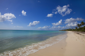 Fototapeta premium Paradise Beach