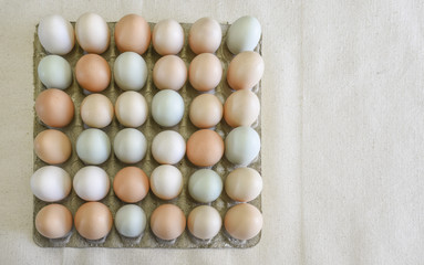Free range, organic farm eggs in a flat carton