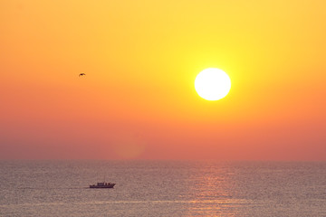 Sonnenaufgang, Boot und Möwe