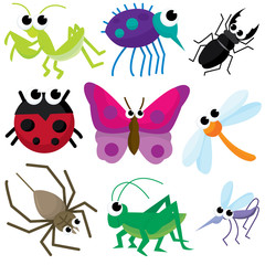 Insects