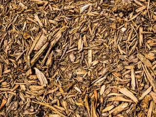 Detailed bark chips on the ground