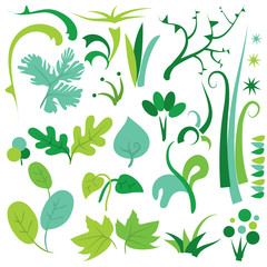 Minimalist Leaves & Plants