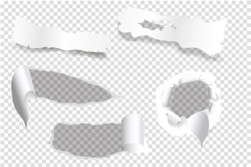 ripped of paper on a transparent background, vector and illustration