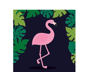 tropical leaves and flamingo icon over blue background. colorful design. vector illustration