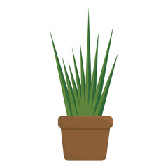 green plant in a pot icon over white background. colorful design. vector illustration