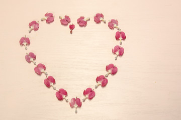 Heart shape made of bleeding heart flowers