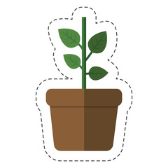 green plant in a pot icon over white background. colorful design. vector illustration