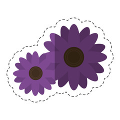 beautiful flowers icon over white background. colorful design. vector illustration