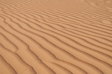 Fototapeta na wymiar Red Sand dunes. Mui Ne. Vietnam