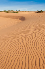 Red Sand dunes. Mui Ne. Vietnam