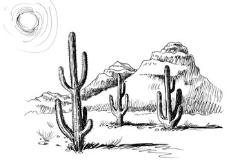 Cactus in the desert