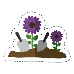 beautiful flowers growing in a soil over white background. colorful design. vector illustration