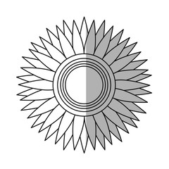 beautiful flower icon over white background. vector illustration