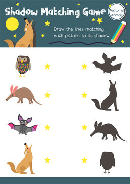 Shadow matching game of nocturnal animals for preschool kids activity worksheet layout in A4 colorful printable version. Vector Illustration.