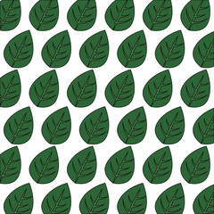 leaves leaf background. colorful design. vector illustration