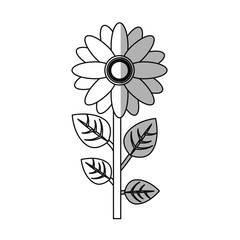 beautiful flower plant icon over white background. vector illustration