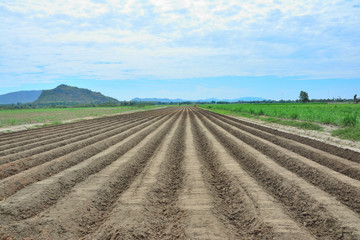 Earth soil grooves farming over field for crop planting on farm lands.