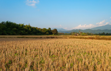 Landscape. Vang Vieng. Laos.