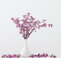 Pink flowers in a vase