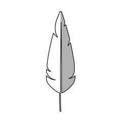 leaf icon over white background. vector illustration