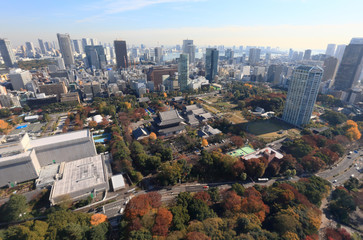 Naklejka premium 東京都港区俯瞰