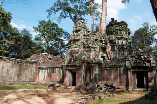 Ta Prohm Temple. Angkor. Cambodia