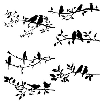 vector set of birds at tree branches silhouettes