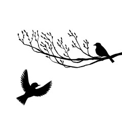 birds at tree silhouettes