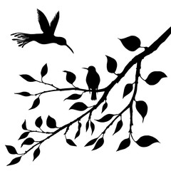 birds at tree silhouettes