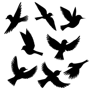 vector set of flying birds silhouettes