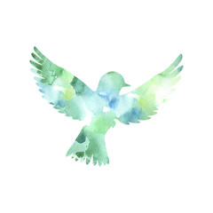 watercolor flying bird silhouette