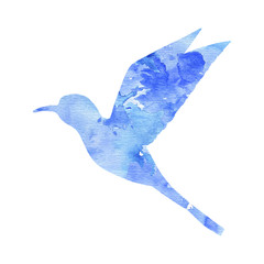 Fototapeta premium watercolor blue hummingbird silhouette