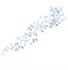 watercolor flying birds silhouettes