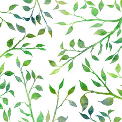 tree branches with leaves