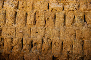 The clay wall for background..