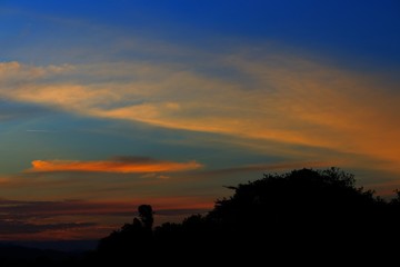 sunset beautiful colorful landscape and silhouette tree in sky twilight time