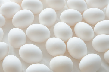 White eggs on a white background