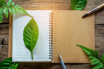 pen and Green leafs on notebook