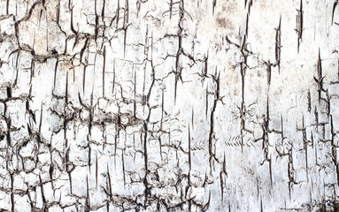Texture of gray grunge background with irregularities and cracks