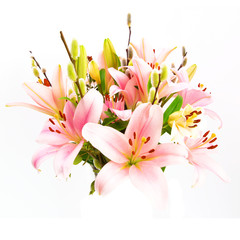 Arangement of Lilys on a white background