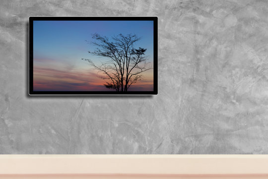 LED television, with silhouette of tree in hdtv on concrete wall in the room