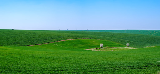 Green fields clear blue sky